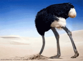 Attached picture Ostrich in sand.gif
